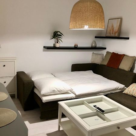 Apartman V Centre Ziliny S Parkovanim Жиліна Екстер'єр фото